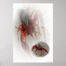 Suche nach fischmarkt poster Hummer