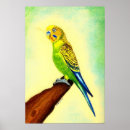 Suche nach lovebirds poster Vogel