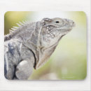 Suche nach leguan mousepads Reptil