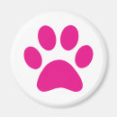 Recherche de chats magnets Dog