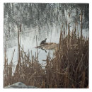 Suche nach der winter fliesen Seen