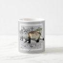 Recherche de furet maison deco Animal