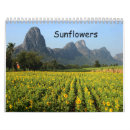 Suche nach gelb kalender Pflanze