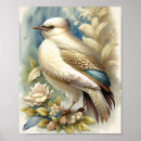 Suche nach vogeldrucke poster Ornithologie