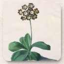 Suche nach pergament untersetzer Blumen