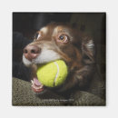 Suche nach tennisball magnete Sport