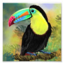 Suche nach bird painting poster Vogel