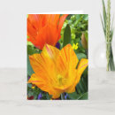 Suche nach tulpe kleine grußkarten Leer