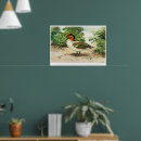 Recherche de canard sauvage posters Oiseau