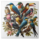 Recherche de tropical carreaux Faune