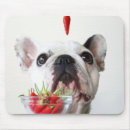 Suche nach der französischen bulldogge mousepads Nahaufnahme