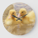 Recherche de brouillé horloges Mignon