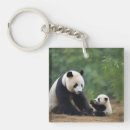 Recherche de bambou porteclés Porter