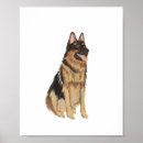 Recherche de peinture berger allemand posters Portrait