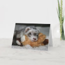 Recherche de belettes vœux cartes Animaux