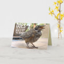 Suche nach lustiger vogel karten Für sie