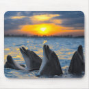 Suche nach niedlicher delphin mousepads Wasser