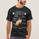 Suche nach lustige anatomie Katze