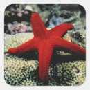 Suche nach rotes meer aufkleber Strand