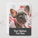 Recherche de bouledogue francais invitations Pour tous