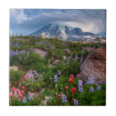 Recherche de cultivé carreaux Dehors