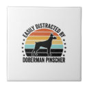 Recherche de dobermann carreaux Chiot