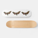 Recherche de faucon skateboards Papillon