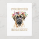 Recherche de mastiff cartes postales Amoureux des chiens