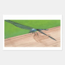 Recherche de ailes de libellule autocollants Vert
