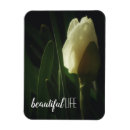 Recherche de belle m magnets Photographie