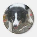 Recherche de starx magnets Pour lui