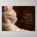 Suche nach sphynx poster Kätzchen