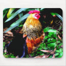 Suche nach hahn mousepads Federn