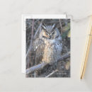 Suche nach schöner vogel postkarten Naturfotografie