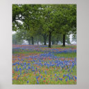 Recherche de en abondance posters Bleu