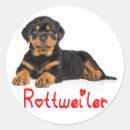 Suche nach rottweiler hunde aufkleber Rotweiler