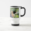Recherche de caniche français tasses Chien