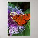 Suche nach gulf poster Natur