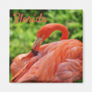 Recherche de touriste magnets Floride