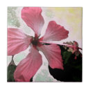 Suche nach exotische blumen fliesen Sommer