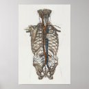 Recherche de 1867 posters Imprimer