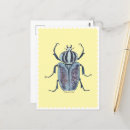Recherche de entomology posters Bug
