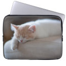 Suche nach farbbild laptop schutzhüllen Katze