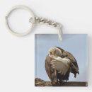 Suche nach weißkopfseeadler schlüsselanhänger Raptor