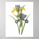Suche nach iris poster Bouquet