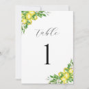 Recherche de talavera cartes postales Méditerranéenne