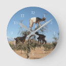 Recherche de chèvres horloges Drôle