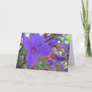 Suche nach schonheits karten Blumen
