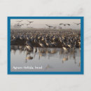 Recherche de oiseau bleu montagne cartes postales Oiseaux