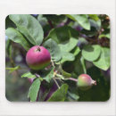 Recherche de apple computer Ordinateur